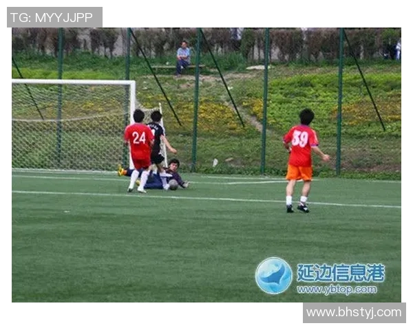 足球抢镜头背后的故事与精彩瞬间揭秘让你领略球场魅力与激情